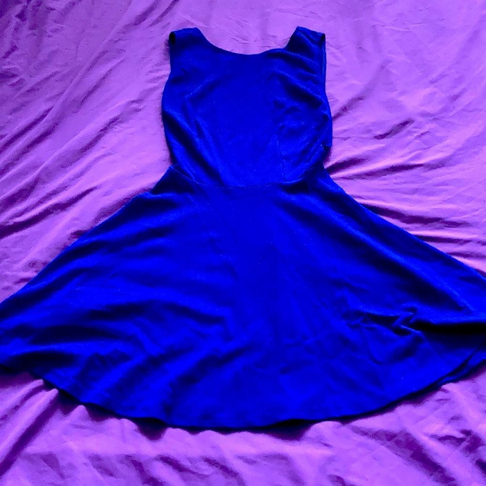 American Apparel Cobalt Blue Mini Skater Dress